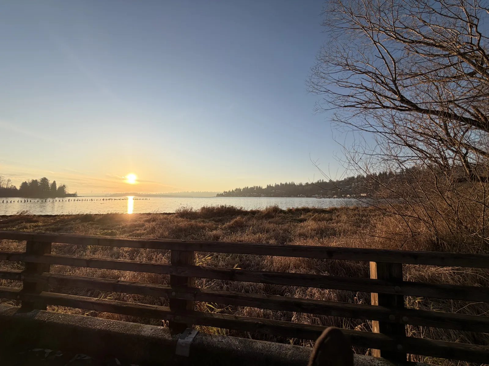 {march} gentle reemergence: moving Into spring without urgency